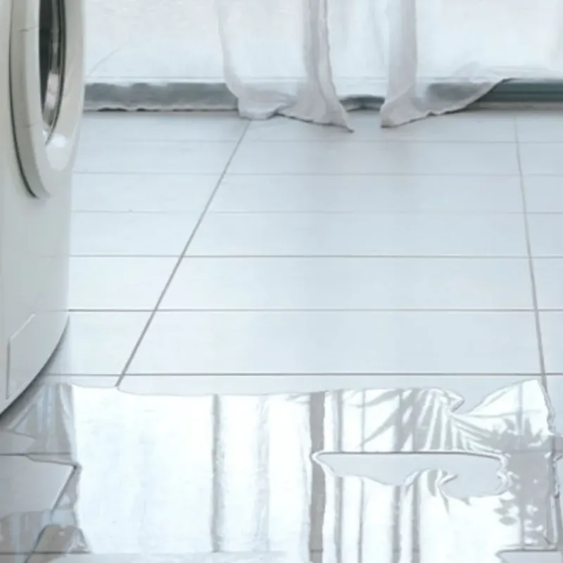 Appliance Leak Cleanup in Ashland City, TN