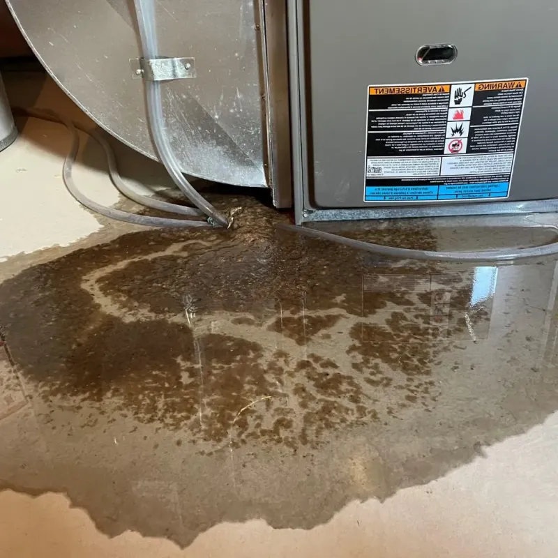 Pipe Burst and Leak Restoration in Ashland City, TN
