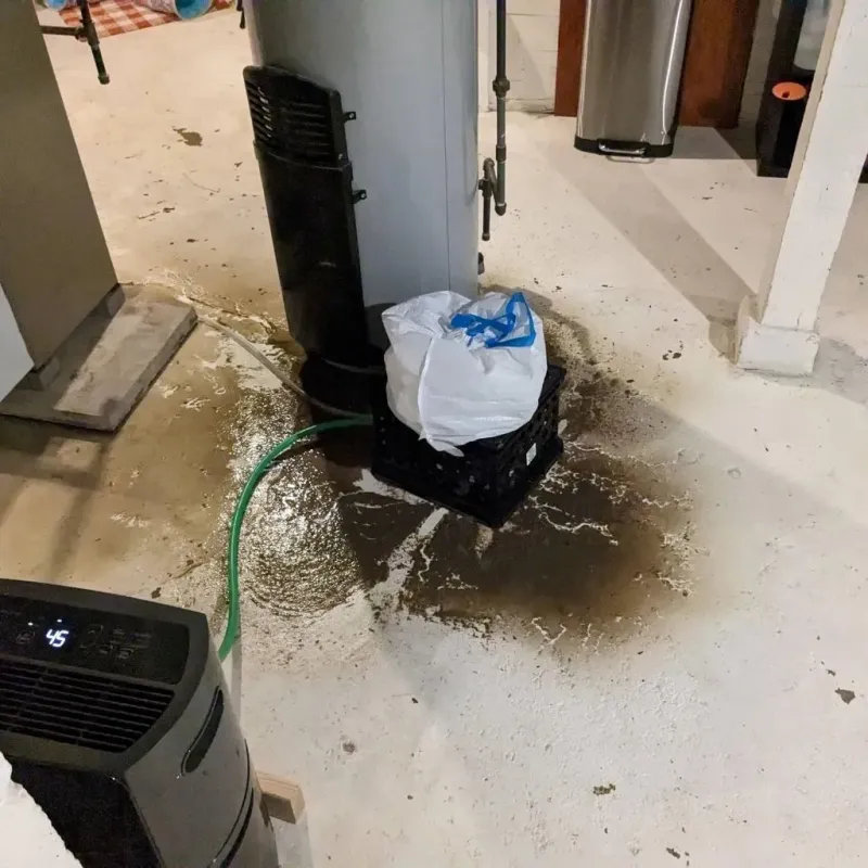 Sewage Backup Cleanup Service in Ashland City, TN
